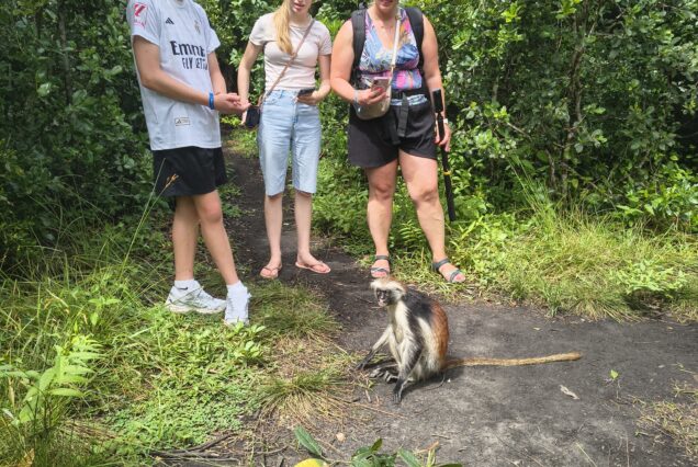 Tourists with a monkey in Jozani Forest, Zanzibar.