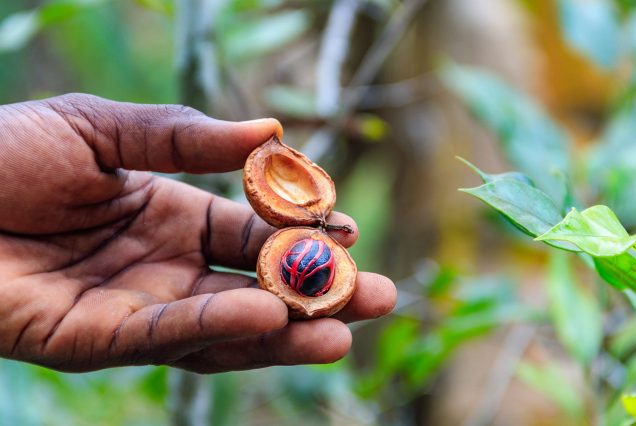 Zanzibar Spice Tour