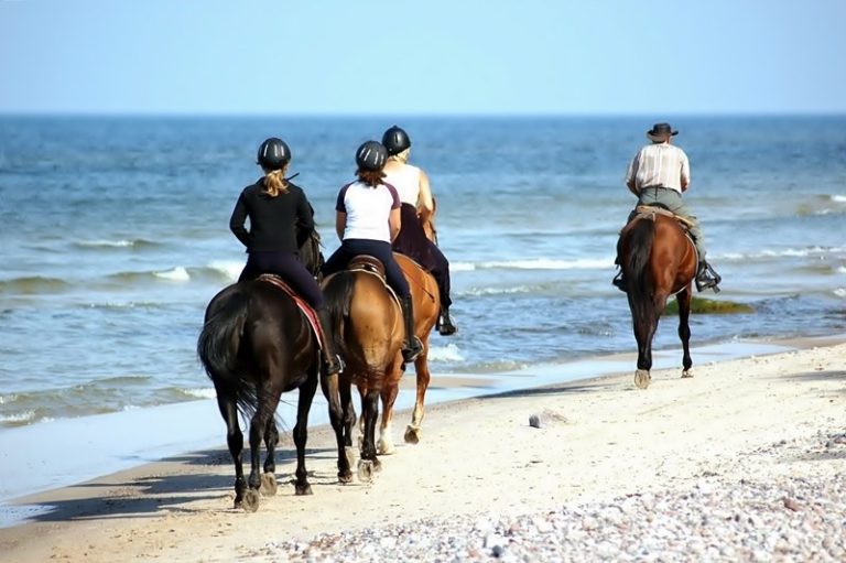 Horse Riding in Zanzibar