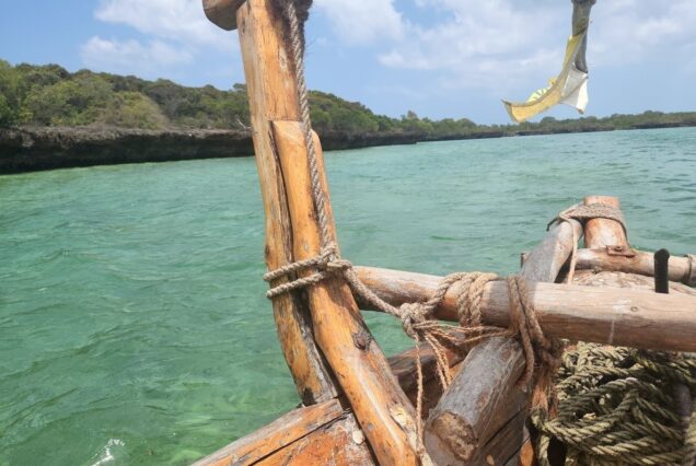 Pungume Island