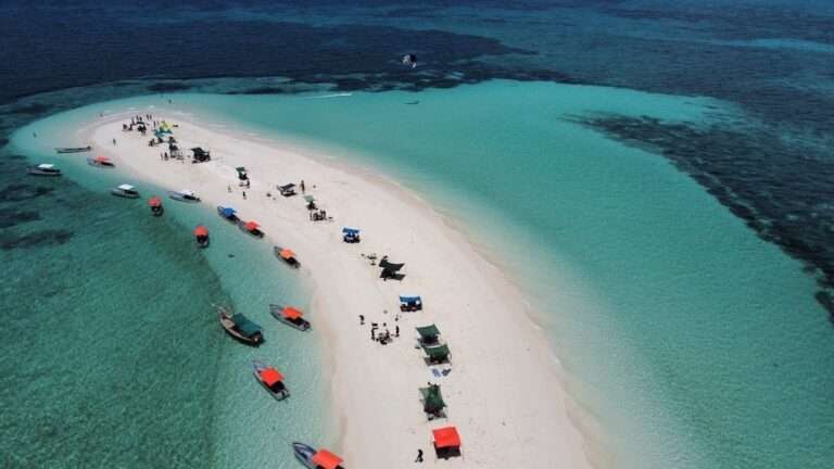 Pungume Island Full-Day Tour – Snorkeling & Buffet Lunch Experience