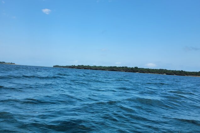 Tumbatu Snorkling Zanzibar